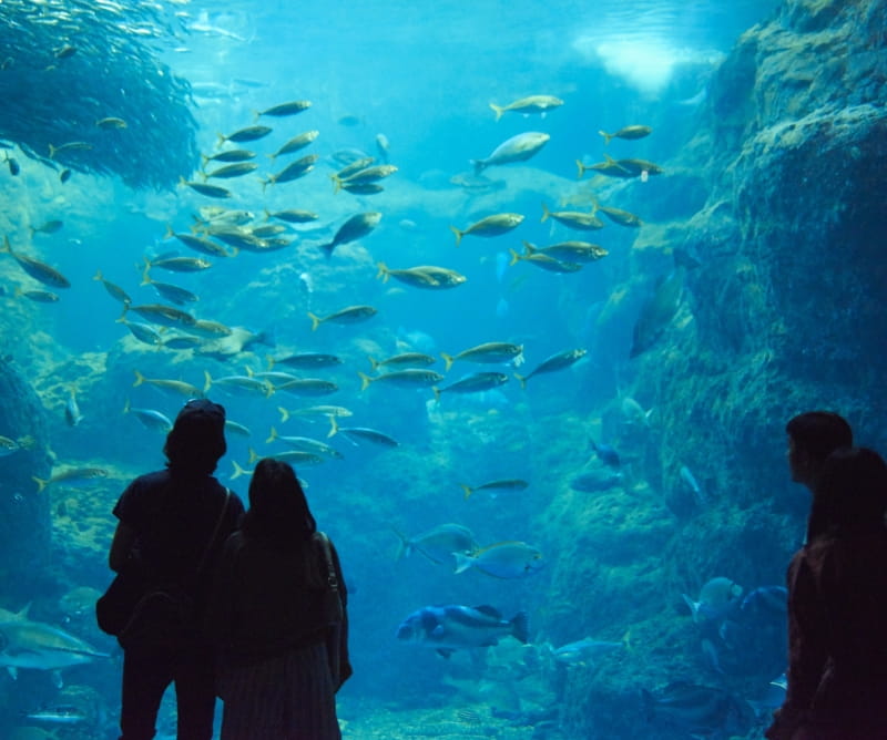 Enoshima Aquarium