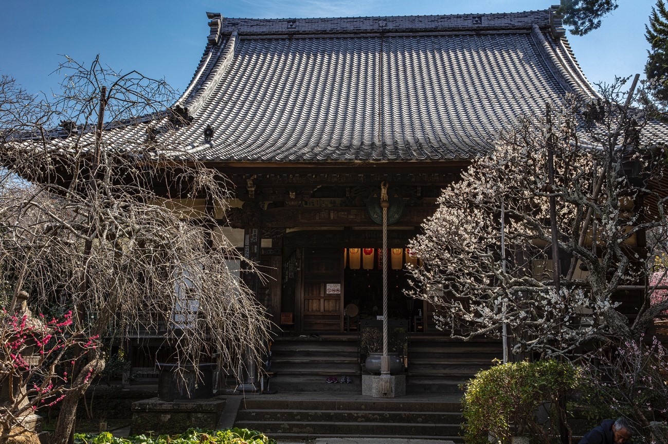 鎌倉 宝戒寺の外観