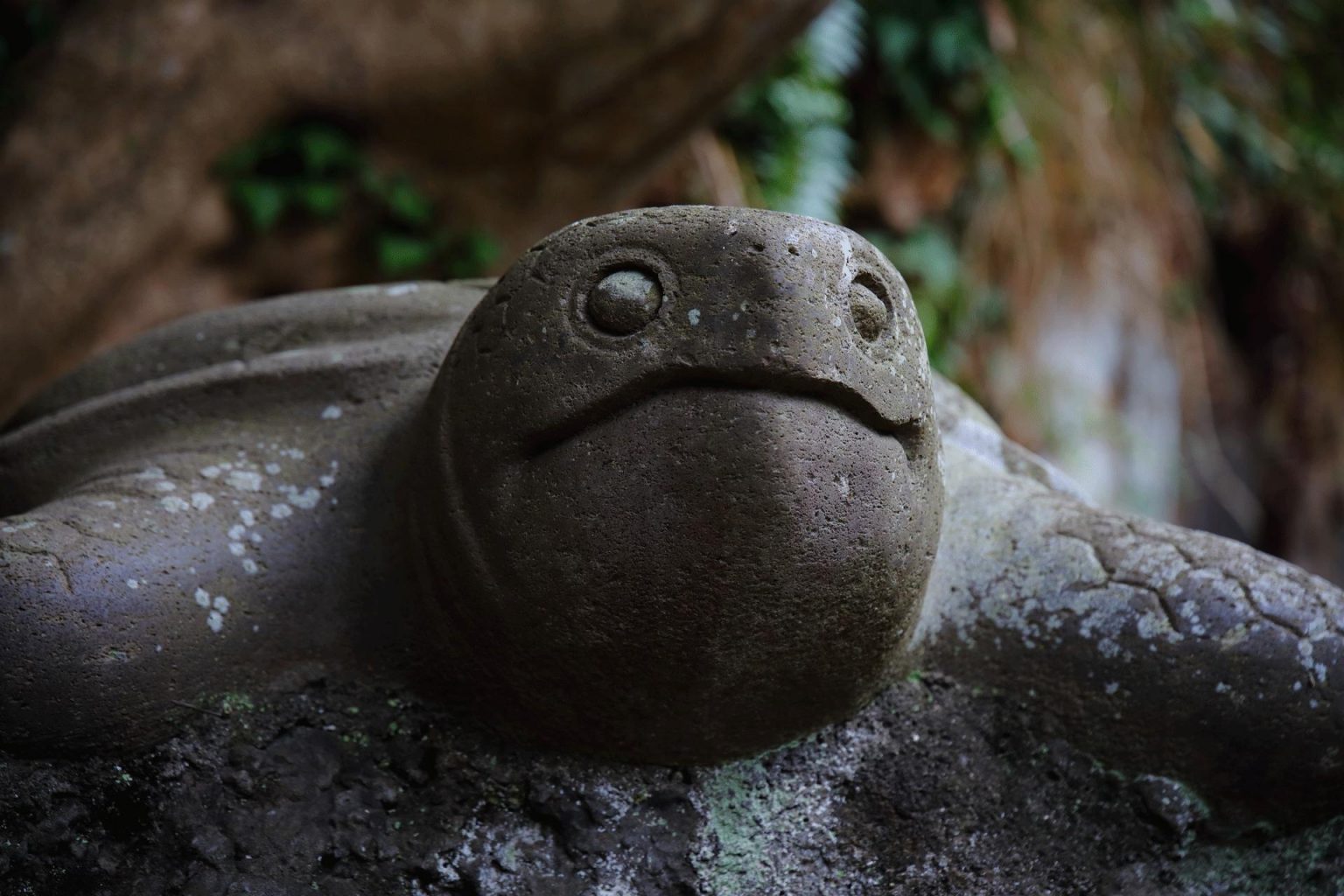 小動神社のウミガメの石像