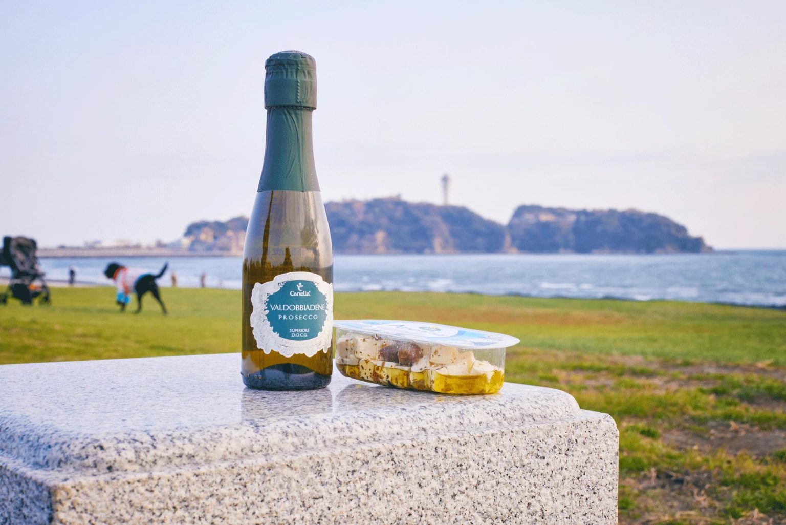 鵠沼海岸の芝生広場で一杯