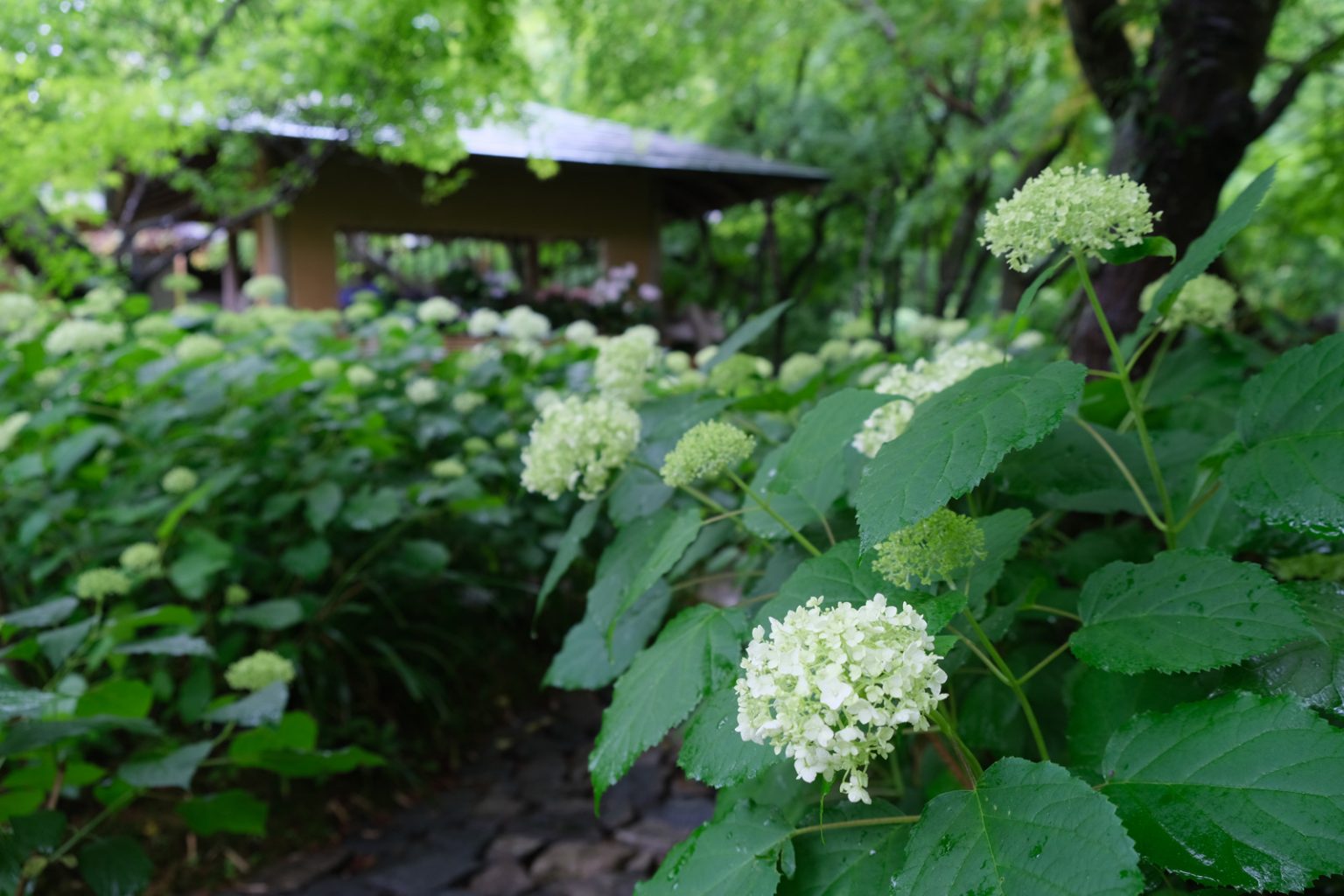 一条恵観山荘