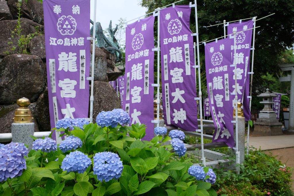 鎌倉紫陽花スポット江の島