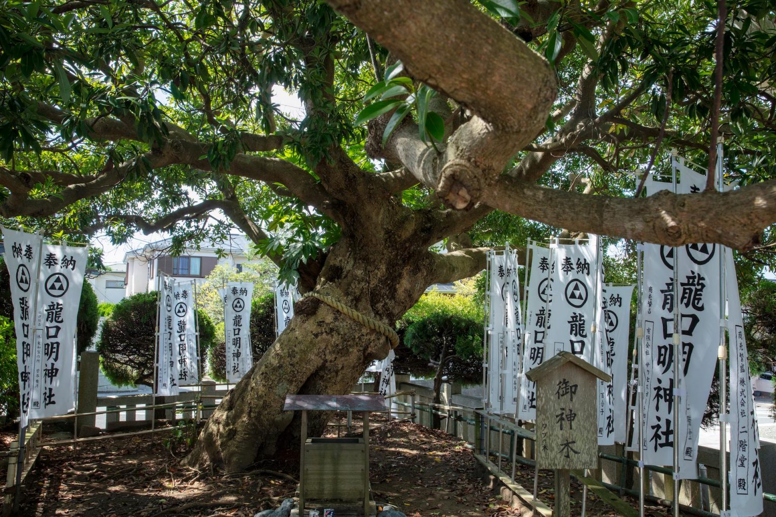 龍口 明 神社